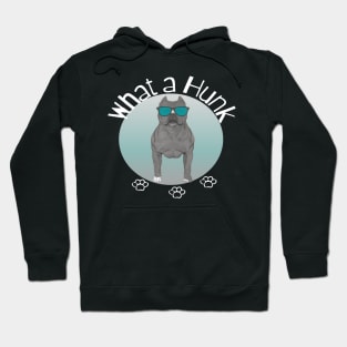 Mr. Pit. Pitbull Baby Love Hoodie